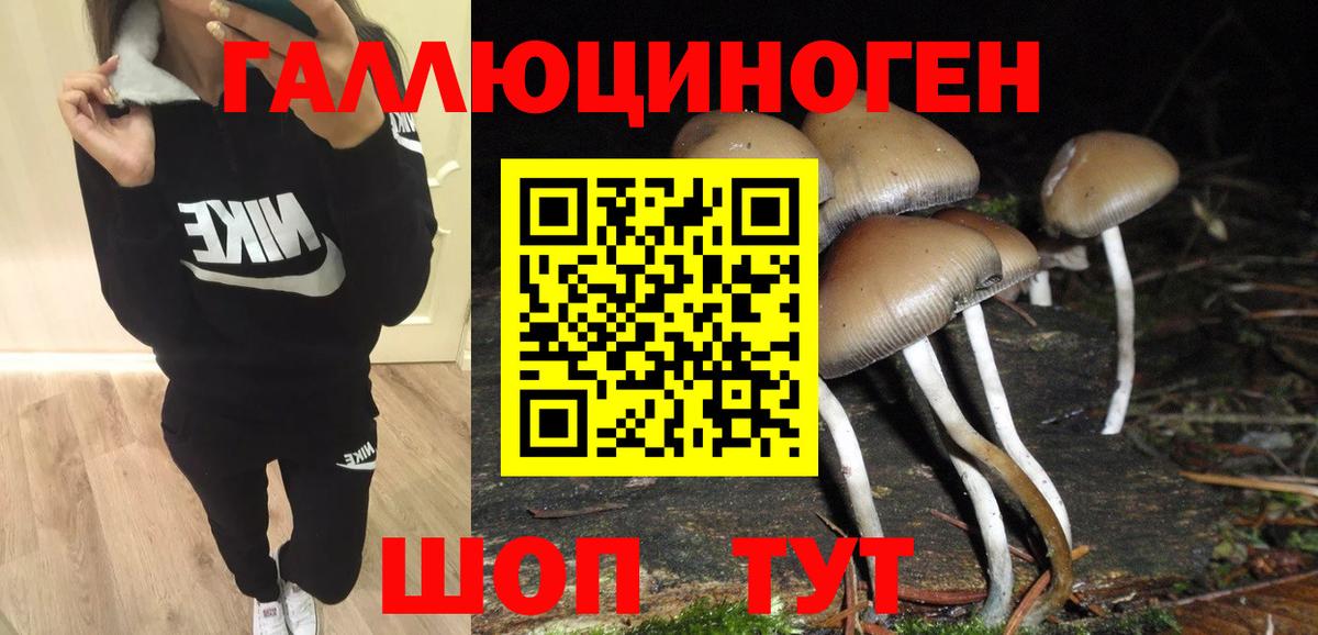 Псилоцибиновые грибы прущие грибы  Галлюциногенные грибы Magic Shrooms  Вход с VPN  Майкоп 