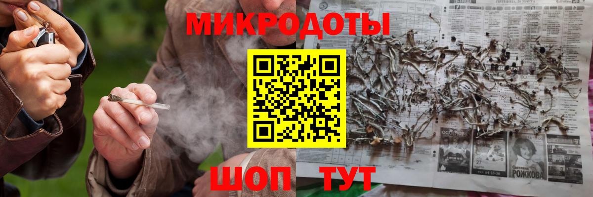 Псилоцибиновые грибы Cubensis Майкоп