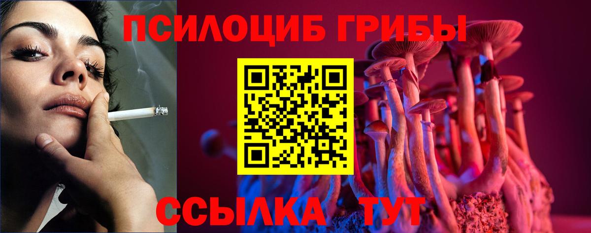 Псилоцибиновые грибы прущие грибы  Псилоцибиновые грибы Cubensis  Майкоп 