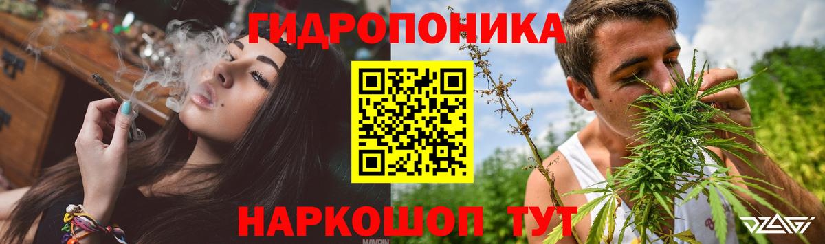 Каннабис марихуана Майкоп